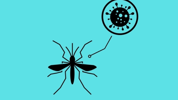 Mosquito,And,Virus,On,Commercial,Blue,Background,,Aedes,,Chikungunya,,Dengue,